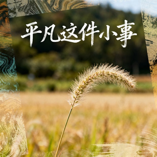 平凡這件小事