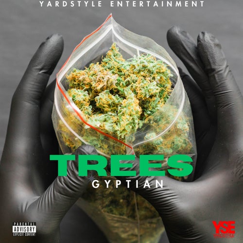 Trees