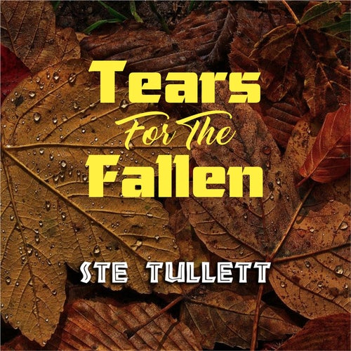 Tears For The Fallen