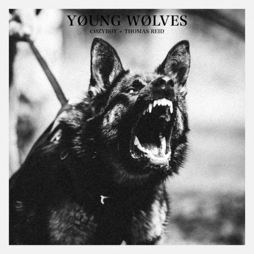 young wolves