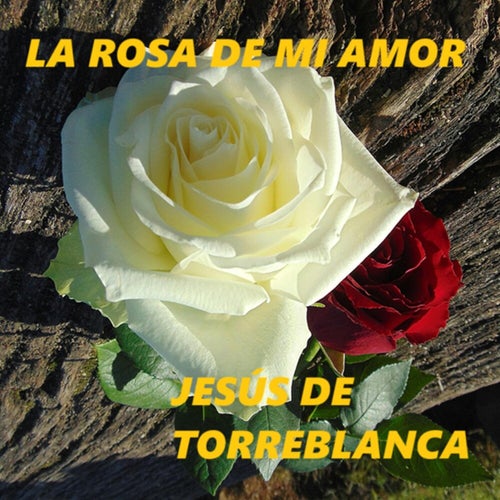 La Rosa de Mi Amor