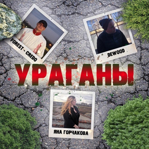 Ураганы