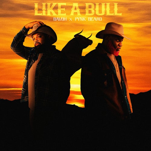 Like A Bull