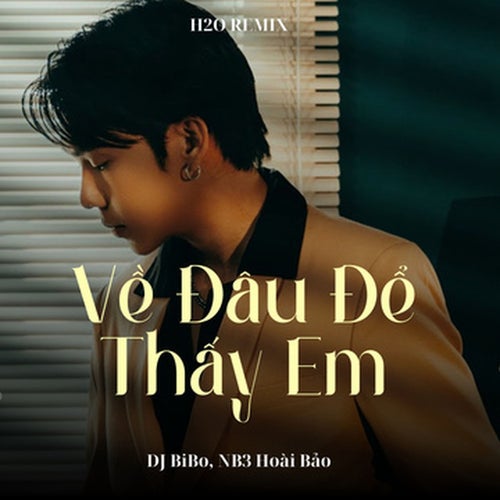 Về Đâu Để Thấy Em (DJ Bibo Remix)