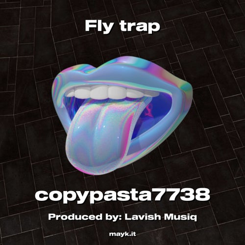 Fly trap