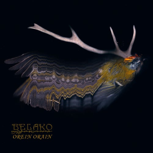 Orein Orain