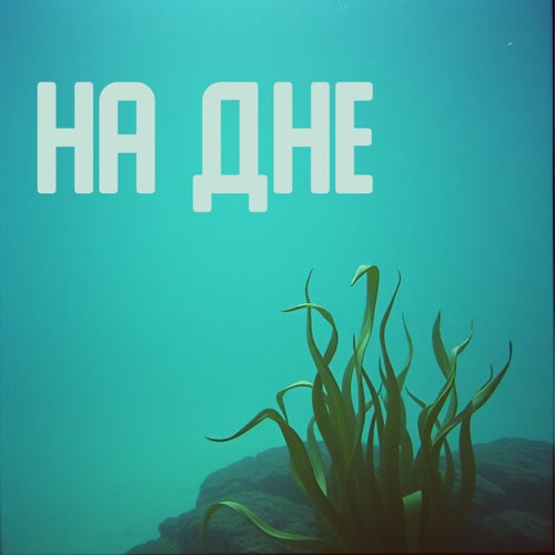 на дне
