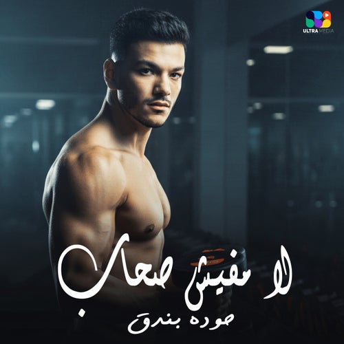 لا مفيش صحاب