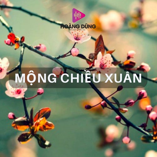 Mộng Chiều Xuân