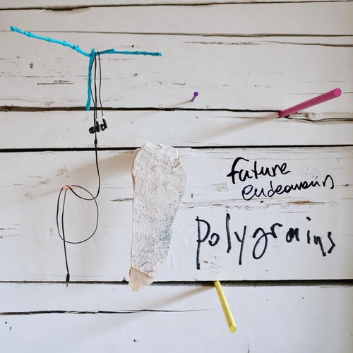 Future Endeavours
