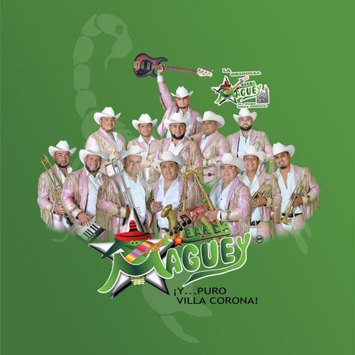 Banda Maguey Profile