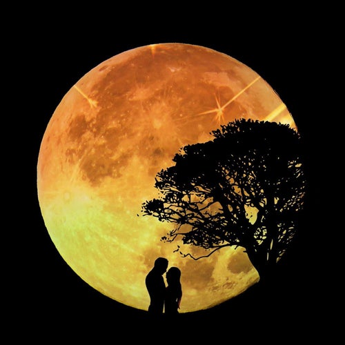 We Were Dancing in the Moonlight (Moonlight) [Slowed]