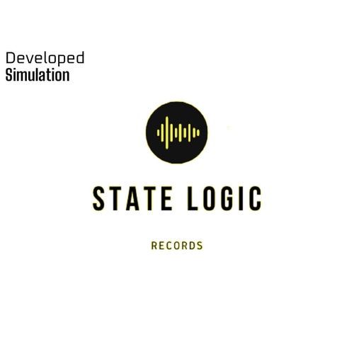 Simulation