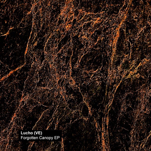 Forgotten Canopy EP