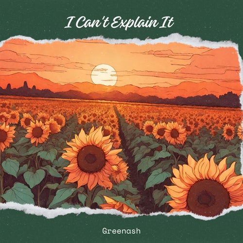 I Can't Explain It