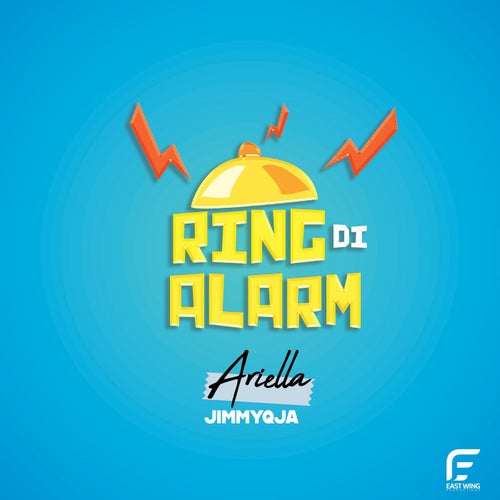 Ring Di Alarm