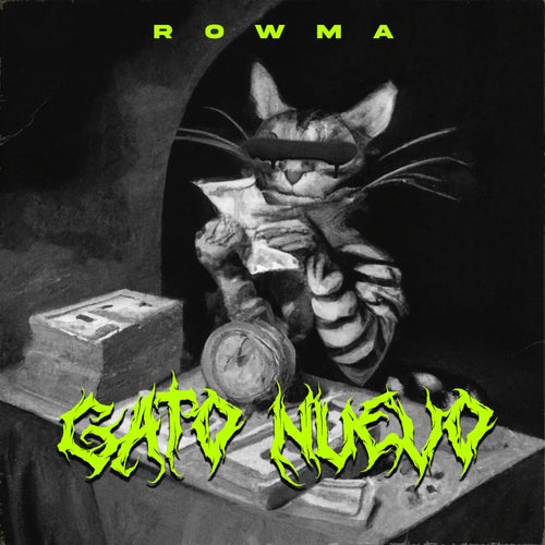 Gato Nuevo