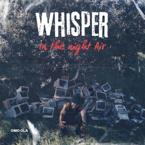 Whisper In The Night Air
