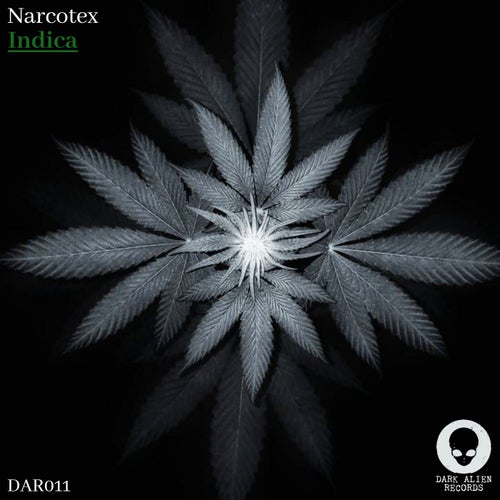 Indica