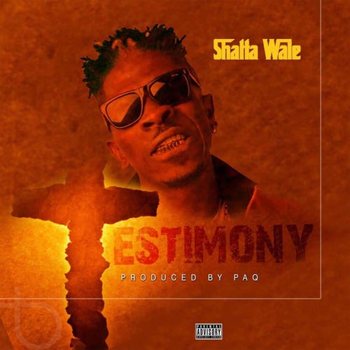 Testimony