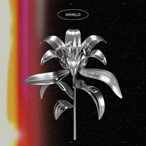 Release of the week