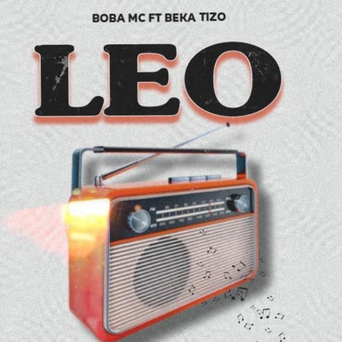 LEO