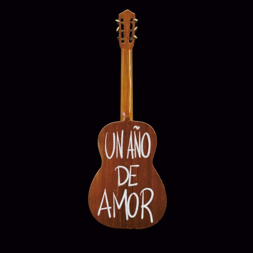 UN AÑO DE AMOR