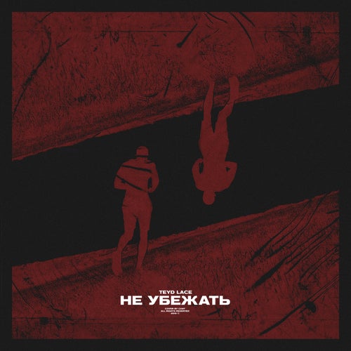 Release of the week