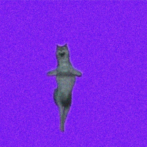 ICHWILLNICHT (Slowed)