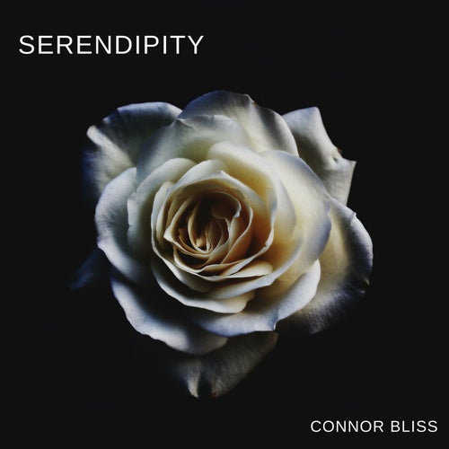 Serendipity