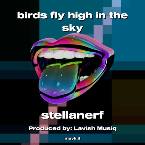 birds fly high in the sky