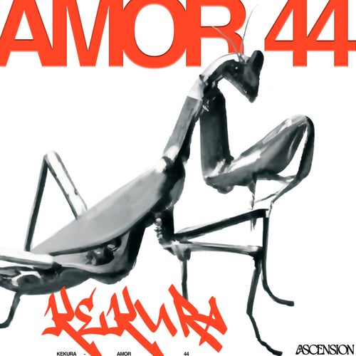 Amor 44