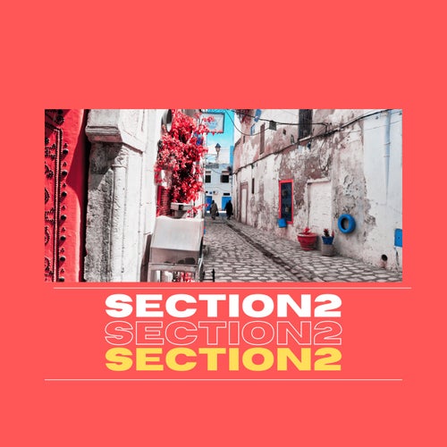 Section2