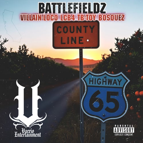 Battlefieldz