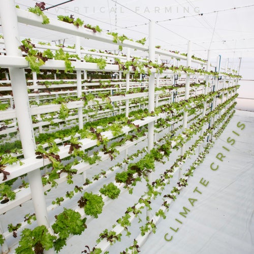 Vertical Farming