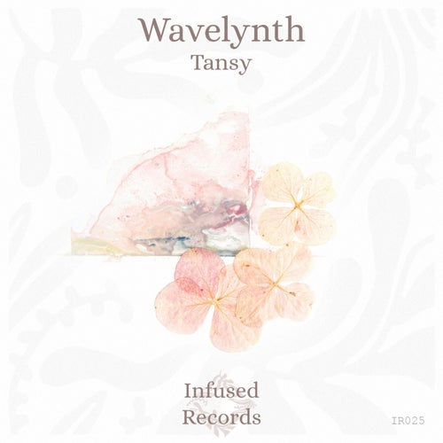 Tansy