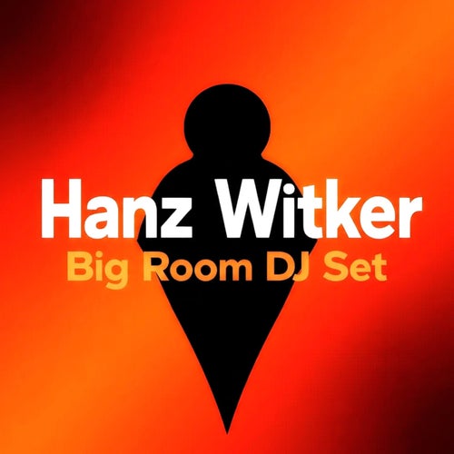 Big Room DJ Set