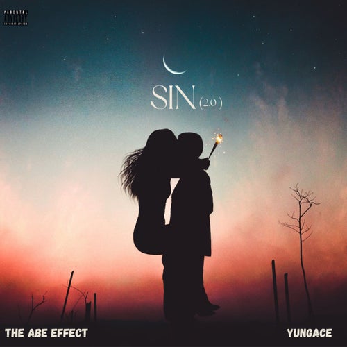 SIN 2.0