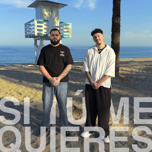 Si tú me quieres