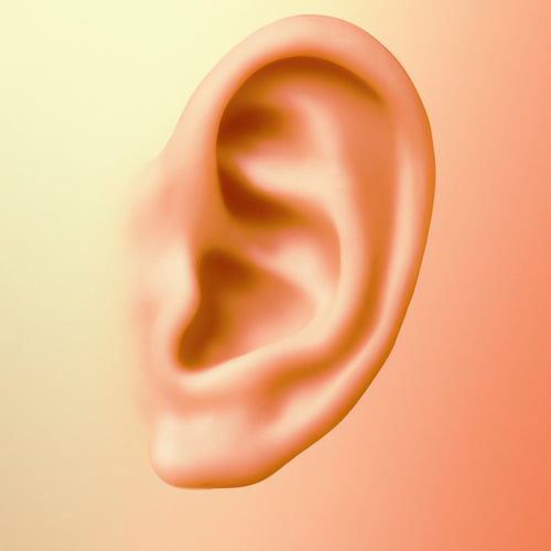 Ear