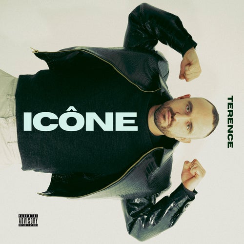 Icône