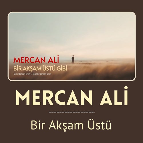 Bir Akşam Üstü