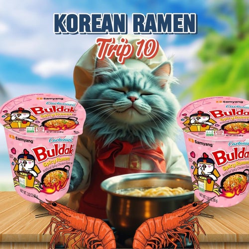 Korean Ramen Trip 10