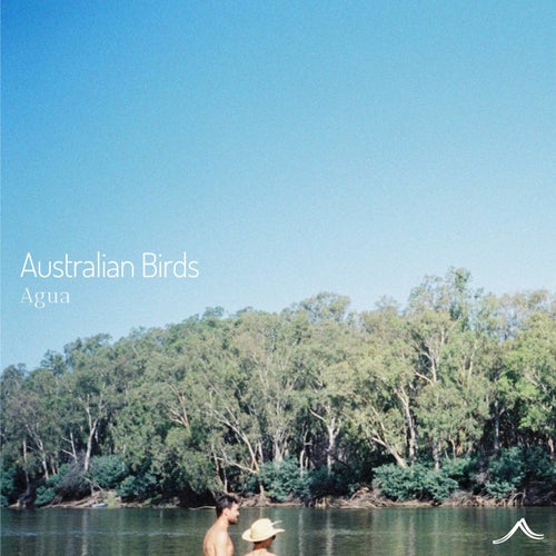 Australian Birds