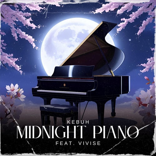 Midnight Piano (feat. vivise)