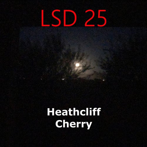 LSD 25