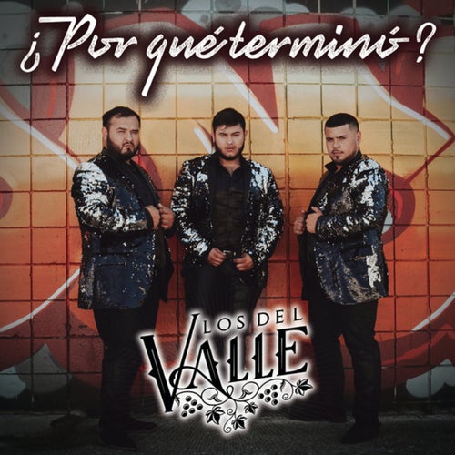 ¿Por Qué Terminó?