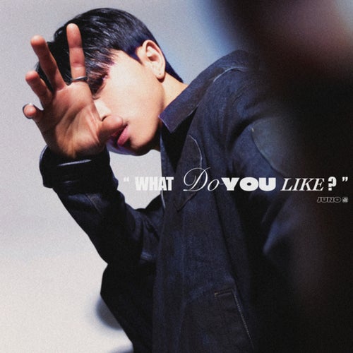 [WDYL (What Do You Like?)]