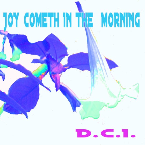 Joy Cometh In The Morning