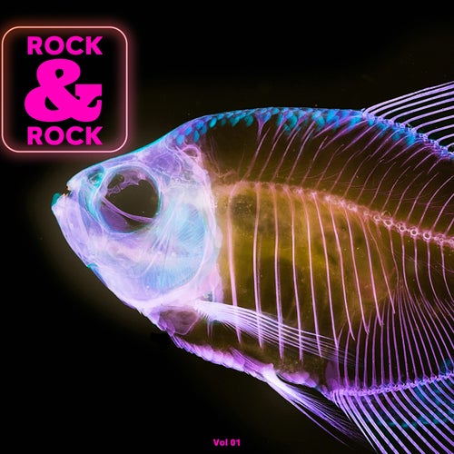 Rock & Rock